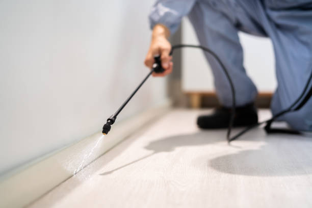 Licensed Exterminator service in Georgetown, IL - Show Me Pest Control