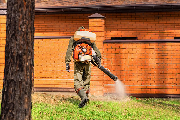 Top rated local Mosquito Control specialists in Georgetown, IL